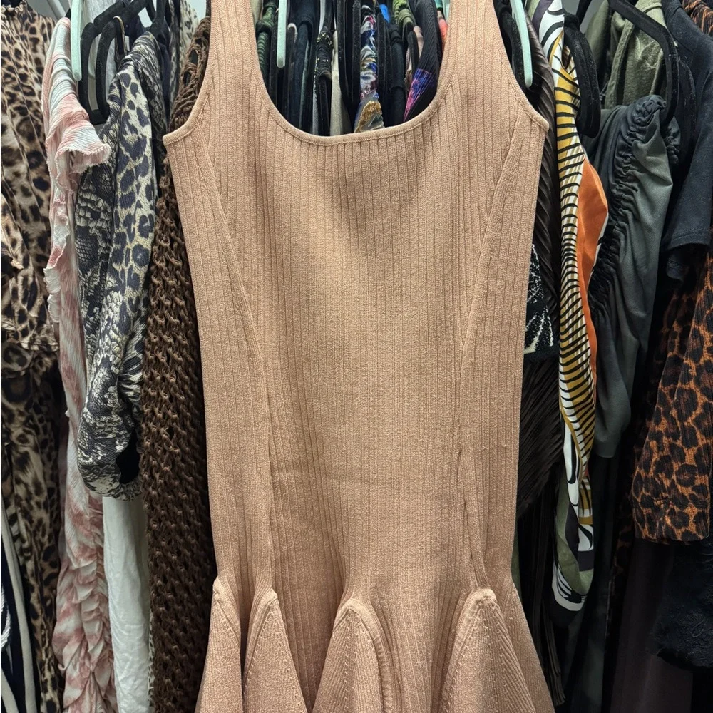 Retrofete Ribbed Mini Dress - Picture 4 of 6
